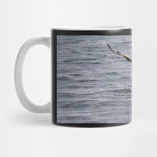 White tailed eagle fishing Mug